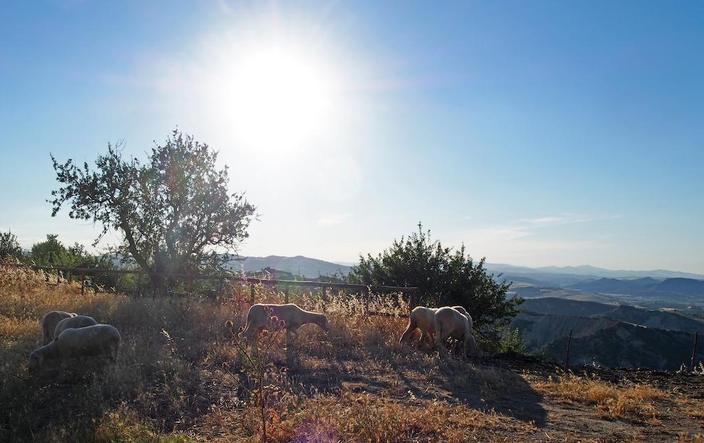 Il Belvedere Civita Extérieur photo
