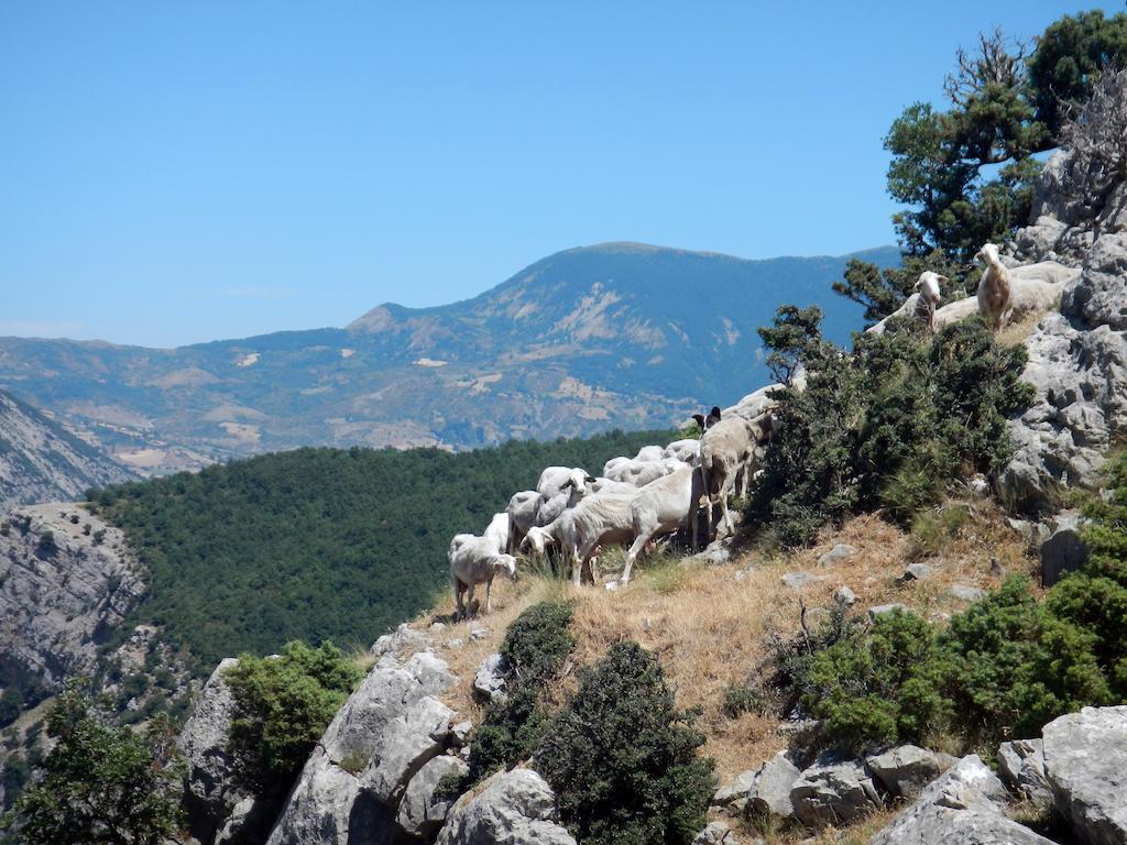 Il Belvedere Civita Extérieur photo