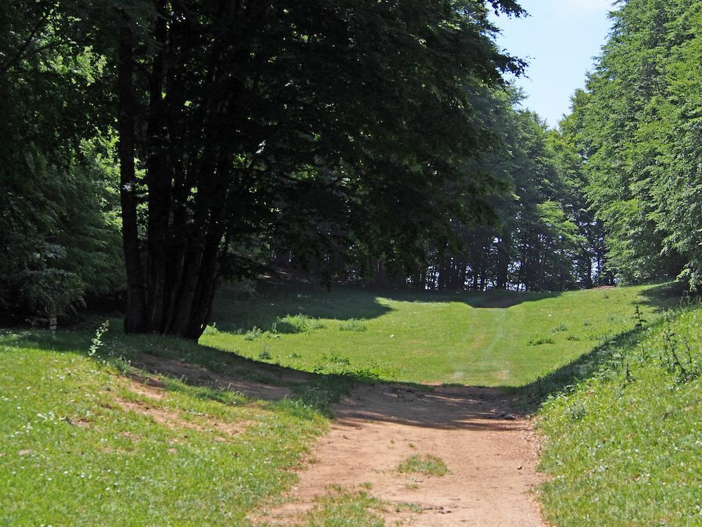 Il Belvedere Civita Extérieur photo